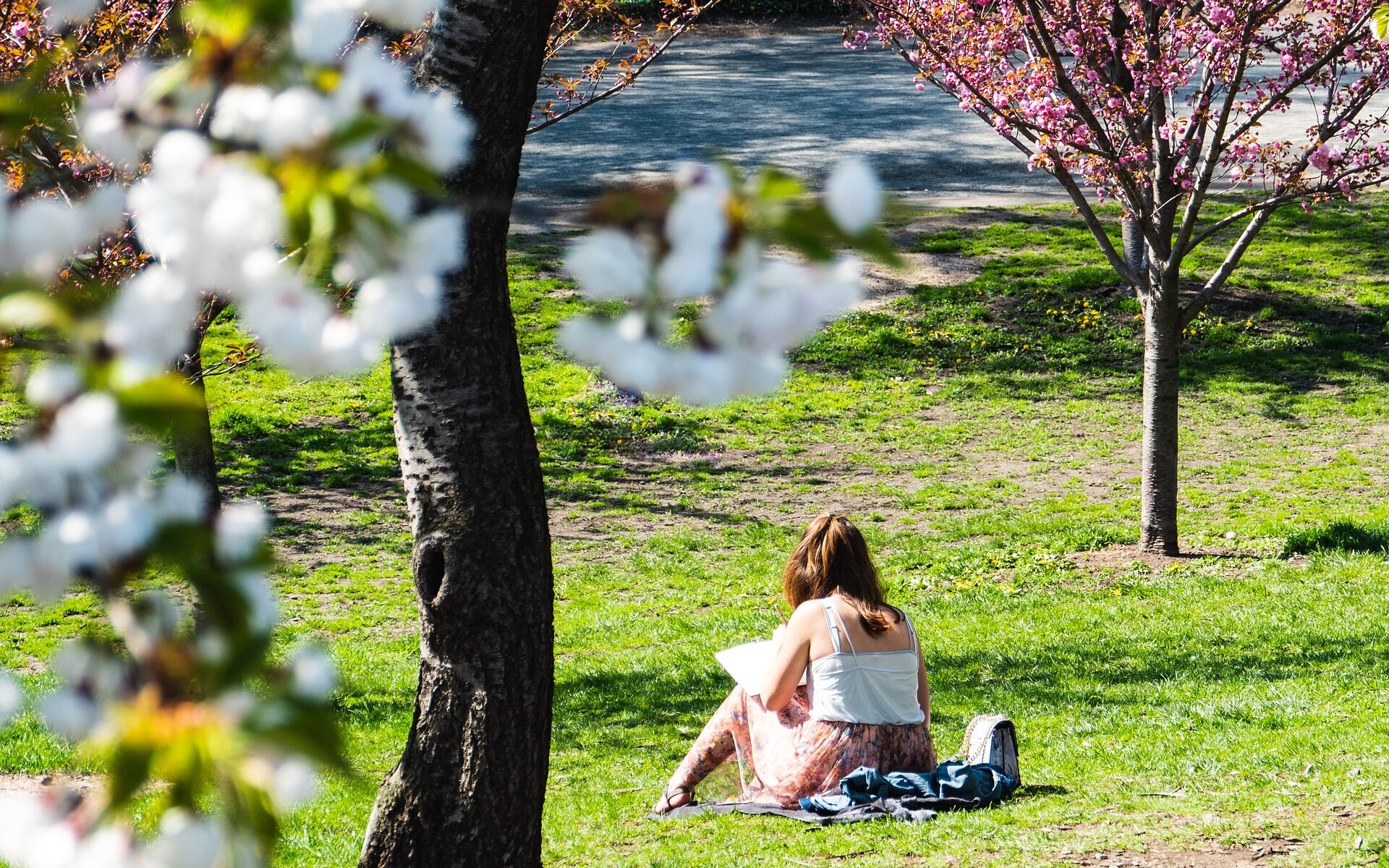 beneficios de tomar el sol, mujer, lectura, parque