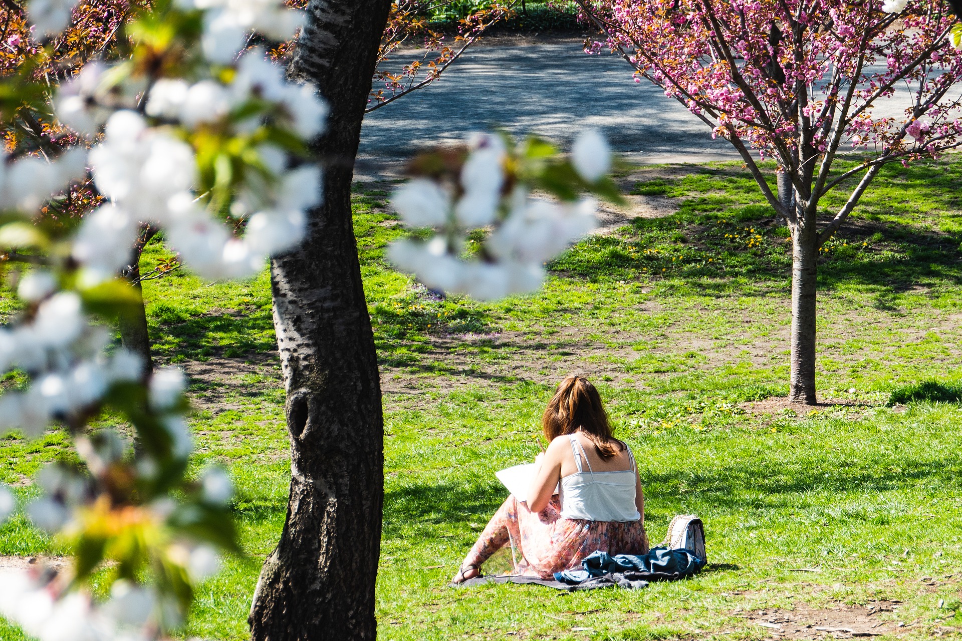 beneficios de tomar el sol, mujer, lectura, parque